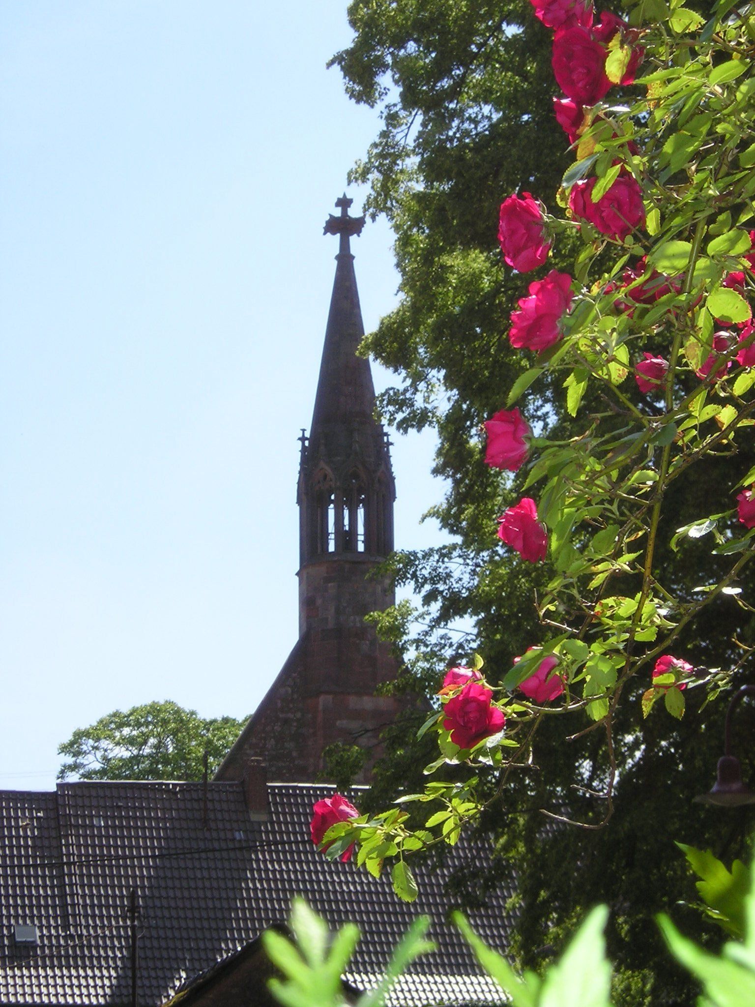 Das Kloster St. Maria in Rosenthal